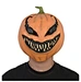 Pumpkin Mask